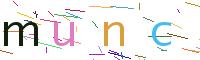 Verify Code