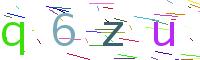 Verify Code