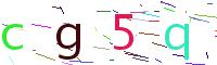 Verify Code