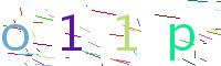 Verify Code