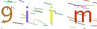 Verify Code