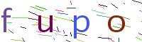 Verify Code