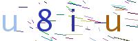 Verify Code