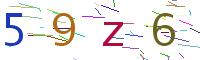 Verify Code