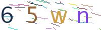 Verify Code