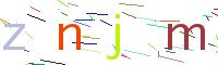 Verify Code
