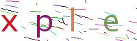 Verify Code