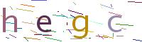 Verify Code