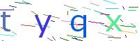 Verify Code