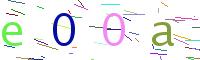 Verify Code