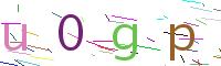 Verify Code