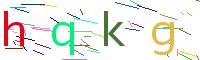 Verify Code