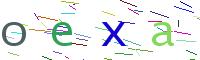 Verify Code