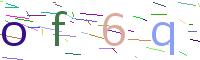 Verify Code