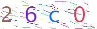 Verify Code