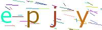 Verify Code