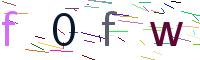 Verify Code