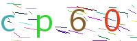 Verify Code