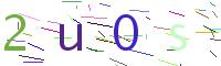 Verify Code