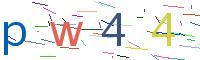 Verify Code