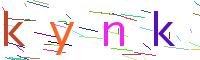Verify Code