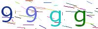 Verify Code