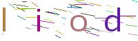 Verify Code