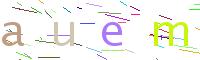 Verify Code