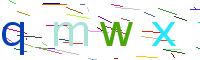 Verify Code
