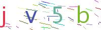 Verify Code