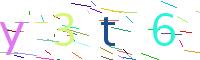 Verify Code