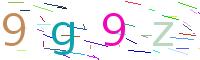 Verify Code