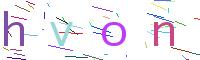 Verify Code