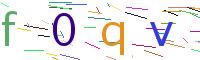 Verify Code