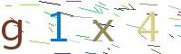 Verify Code