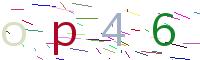 Verify Code