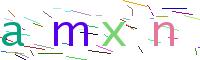 Verify Code