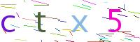 Verify Code