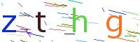 Verify Code