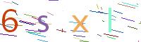 Verify Code