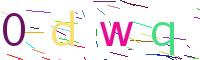 Verify Code