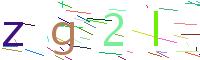 Verify Code