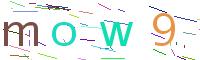 Verify Code
