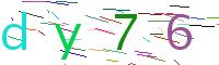 Verify Code