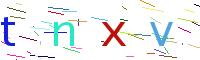 Verify Code