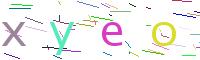 Verify Code