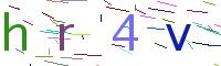Verify Code
