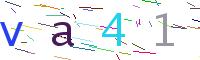 Verify Code