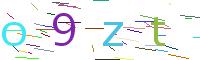 Verify Code