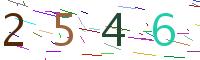 Verify Code